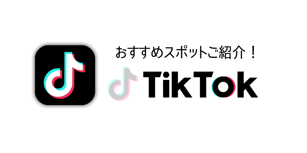 サブチェンジ TikTok